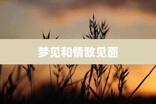 梦见和情敌见面