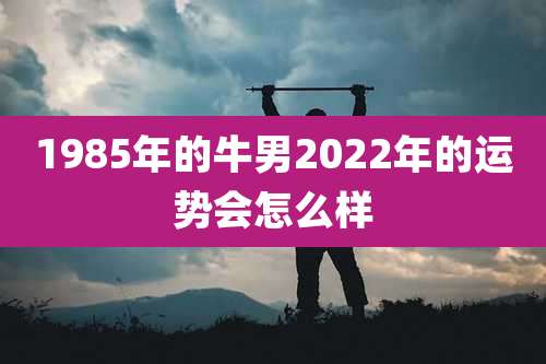 1985年的牛男2022年的运势会怎么样