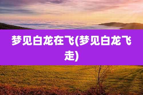 梦见白龙在飞(梦见白龙飞走)