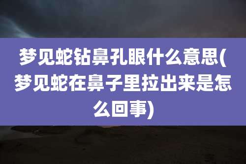 梦见蛇钻鼻孔眼什么意思(梦见蛇在鼻子里拉出来是怎么回事)