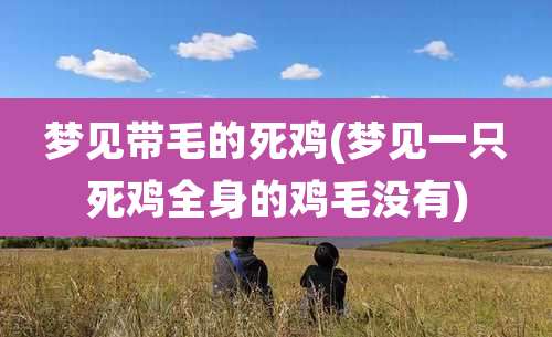 梦见带毛的死鸡(梦见一只死鸡全身的鸡毛没有)