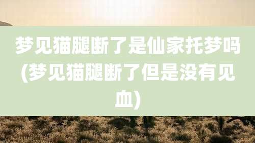 梦见猫腿断了是仙家托梦吗(梦见猫腿断了但是没有见血)