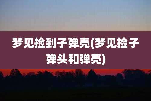 梦见捡到子弹壳(梦见捡子弹头和弹壳)