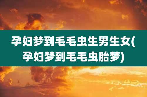 孕妇梦到毛毛虫生男生女(孕妇梦到毛毛虫胎梦)