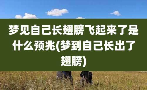 梦见自己长翅膀飞起来了是什么预兆(梦到自己长出了翅膀)