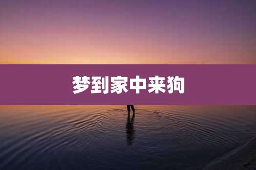 梦到家中来狗