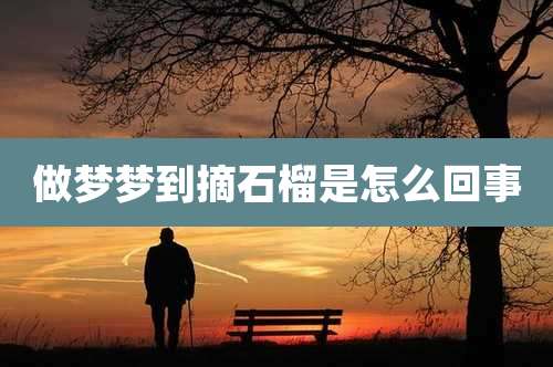 做梦梦到摘石榴是怎么回事