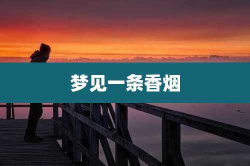 梦见一条香烟