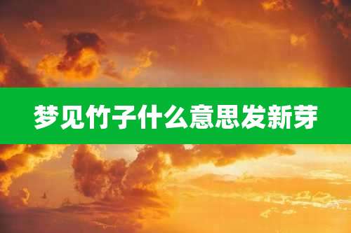 梦见竹子什么意思发新芽