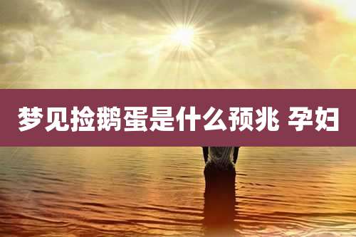 梦见捡鹅蛋是什么预兆 孕妇