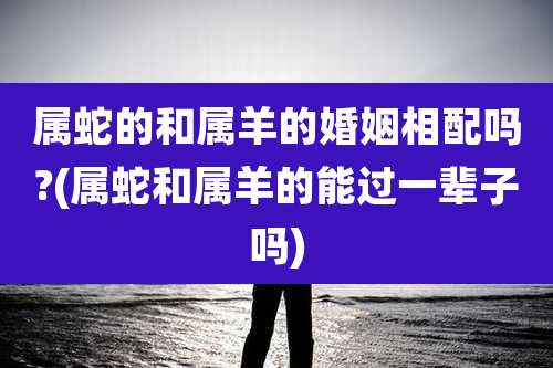 属蛇的和属羊的婚姻相配吗?(属蛇和属羊的能过一辈子吗)
