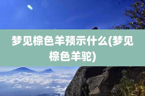 梦见棕色羊预示什么(梦见棕色羊驼)