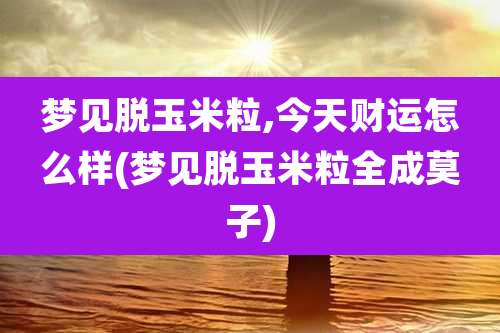 梦见脱玉米粒,今天财运怎么样(梦见脱玉米粒全成莫子)