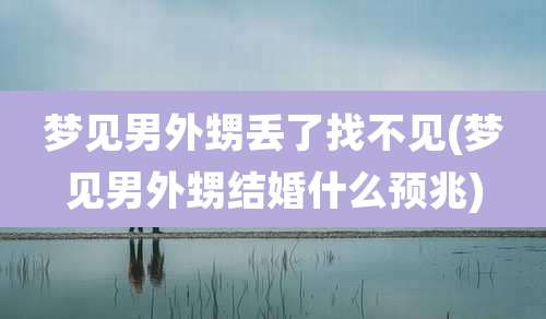 梦见男外甥丢了找不见(梦见男外甥结婚什么预兆)