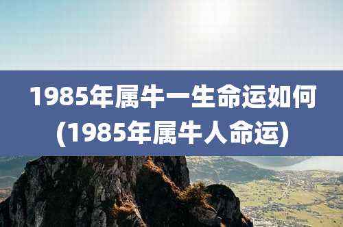 1985年属牛一生命运如何(1985年属牛人命运)