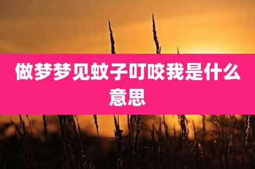 做梦梦见蚊子叮咬我是什么意思