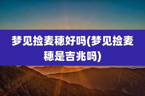梦见捡麦穗好吗(梦见捡麦穗是吉兆吗)
