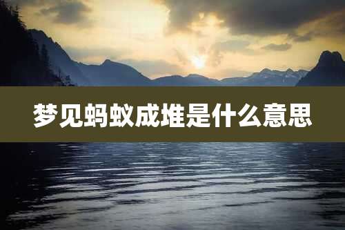 梦见蚂蚁成堆是什么意思