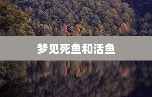 梦见死鱼和活鱼
