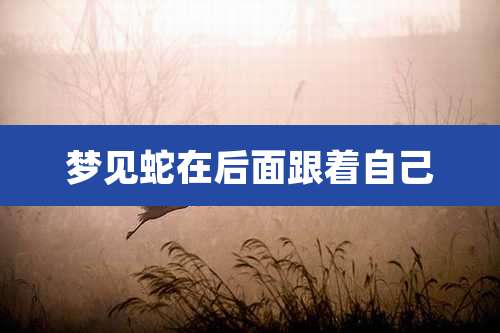 梦见蛇在后面跟着自己