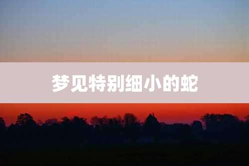 梦见特别细小的蛇
