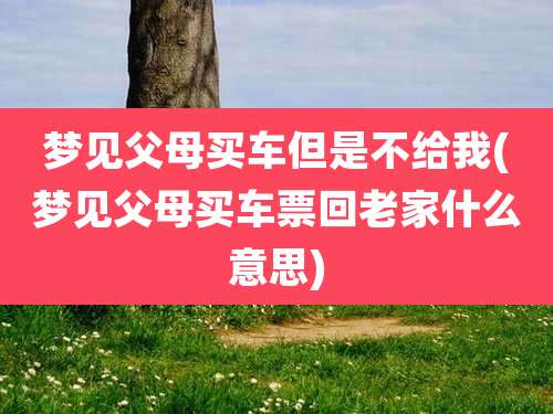 梦见父母买车但是不给我(梦见父母买车票回老家什么意思)