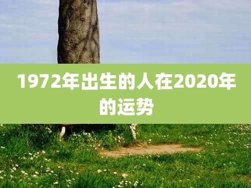 1972年出生的人在2020年的运势