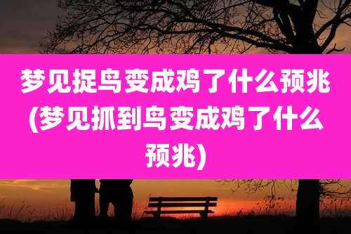 梦见捉鸟变成鸡了什么预兆(梦见抓到鸟变成鸡了什么预兆)