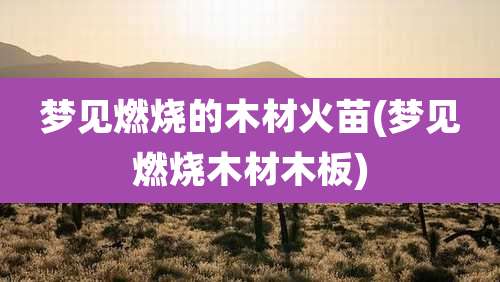 梦见燃烧的木材火苗(梦见燃烧木材木板)