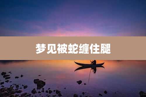 梦见被蛇缠住腿