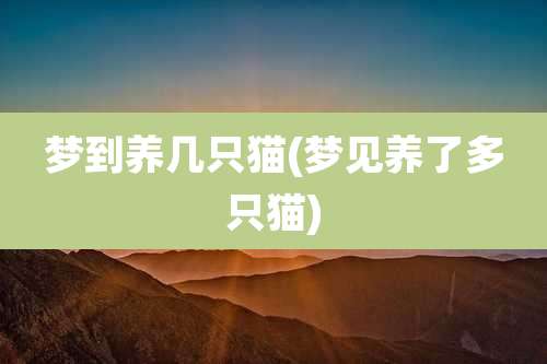 梦到养几只猫(梦见养了多只猫)