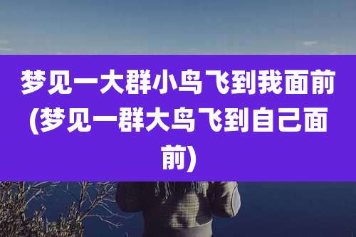 梦见一大群小鸟飞到我面前(梦见一群大鸟飞到自己面前)