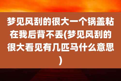 梦见风刮的很大一个锅盖粘在我后背不丢(梦见风刮的很大看见有几匹马什么意思)