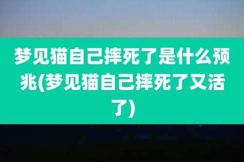 梦见猫自己摔死了是什么预兆(梦见猫自己摔死了又活了)