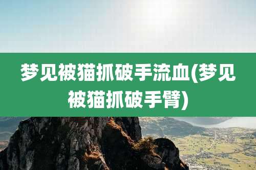 梦见被猫抓破手流血(梦见被猫抓破手臂)