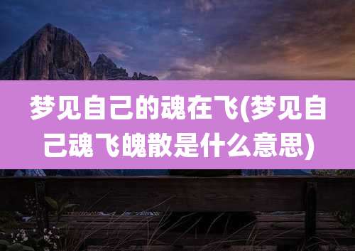梦见自己的魂在飞(梦见自己魂飞魄散是什么意思)