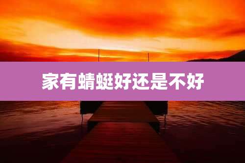 家有蜻蜓好还是不好