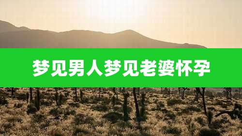 梦见男人梦见老婆怀孕