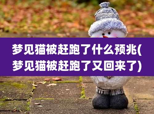 梦见猫被赶跑了什么预兆(梦见猫被赶跑了又回来了)