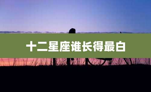 十二星座谁长得最白