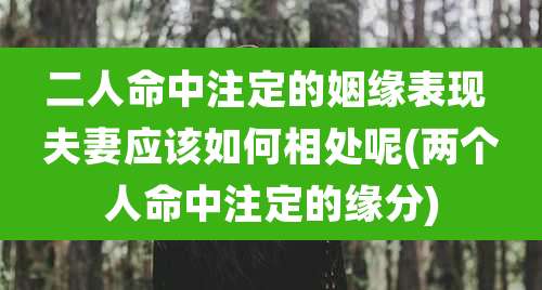 二人命中注定的姻缘表现 夫妻应该如何相处呢(两个人命中注定的缘分)