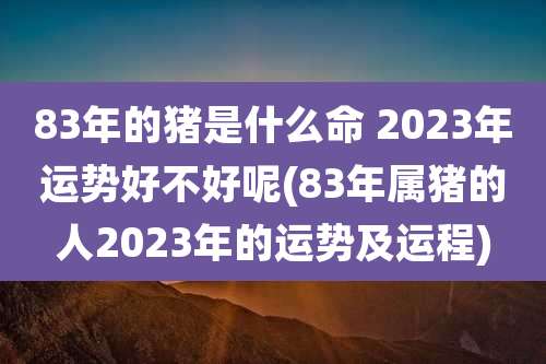 83年的猪是什么命 2023年运势好不好呢(83年属猪的人2023年的运势及运程)
