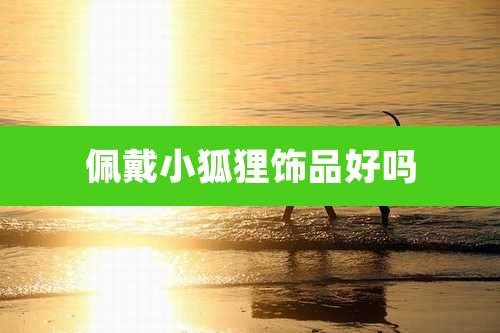 佩戴小狐狸饰品好吗