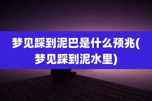梦见踩到泥巴是什么预兆(梦见踩到泥水里)