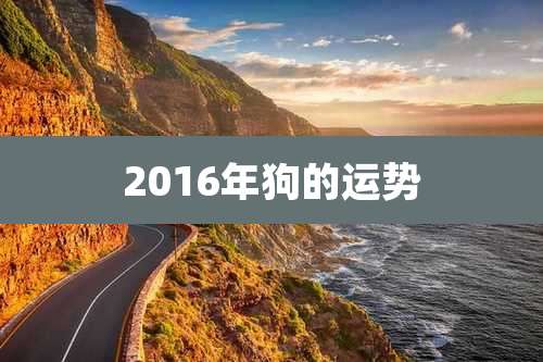 2016年狗的运势