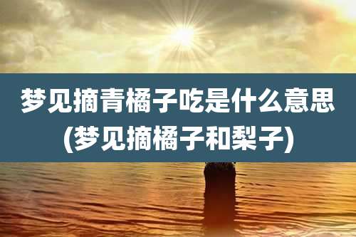 梦见摘青橘子吃是什么意思(梦见摘橘子和梨子)