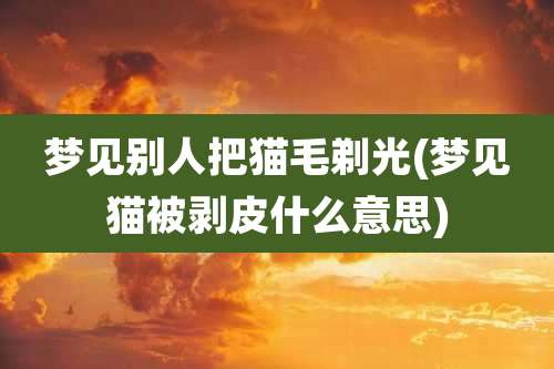梦见别人把猫毛剃光(梦见猫被剥皮什么意思)