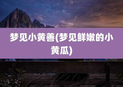 梦见小黄善(梦见鲜嫩的小黄瓜)