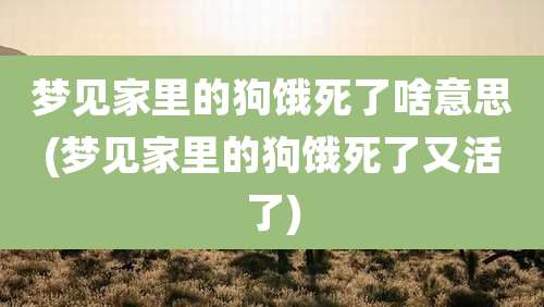 梦见家里的狗饿死了啥意思(梦见家里的狗饿死了又活了)