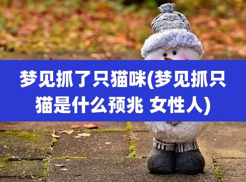 梦见抓了只猫咪(梦见抓只猫是什么预兆 女性人)